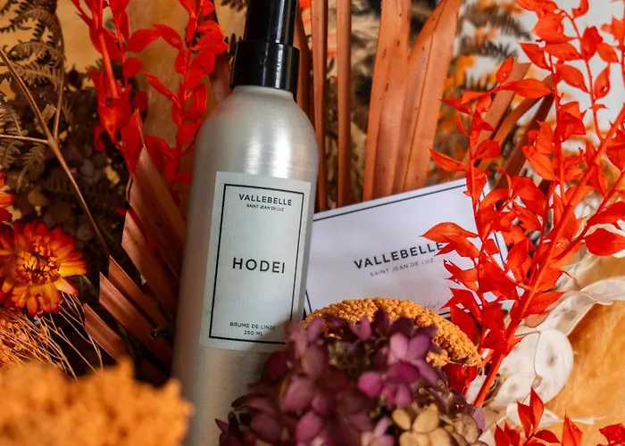 Hotel Les Genets Bayona